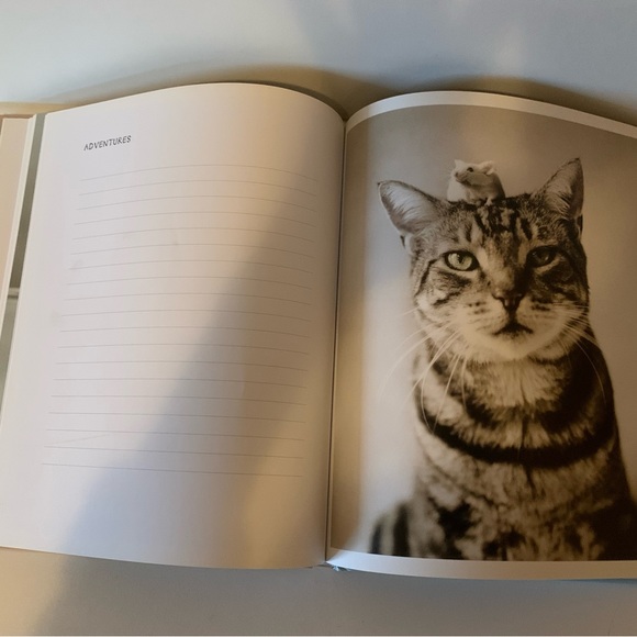 My cat record book hardcover keepsake journal by photographer Rachel hale - Picture 4 of 11